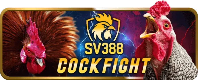Ưu đãi chào mừng thành viên mới b99 nổ hũ